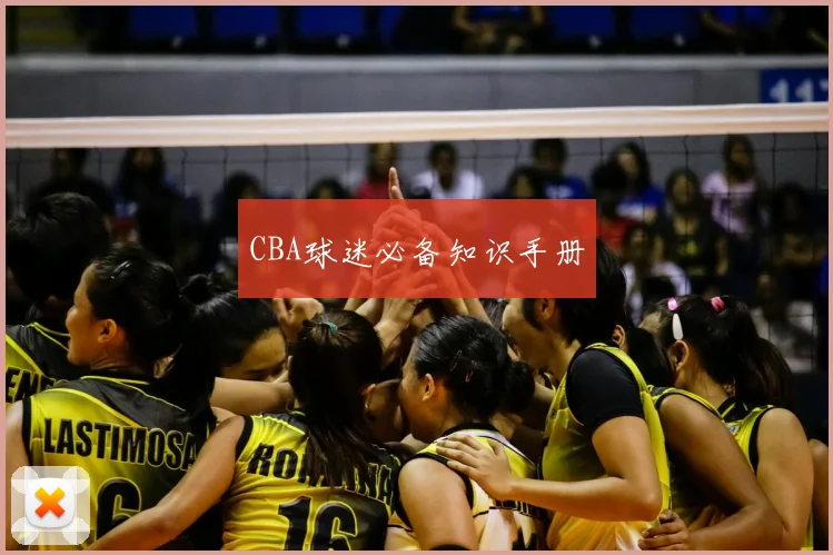 CBA球迷必备知识手册