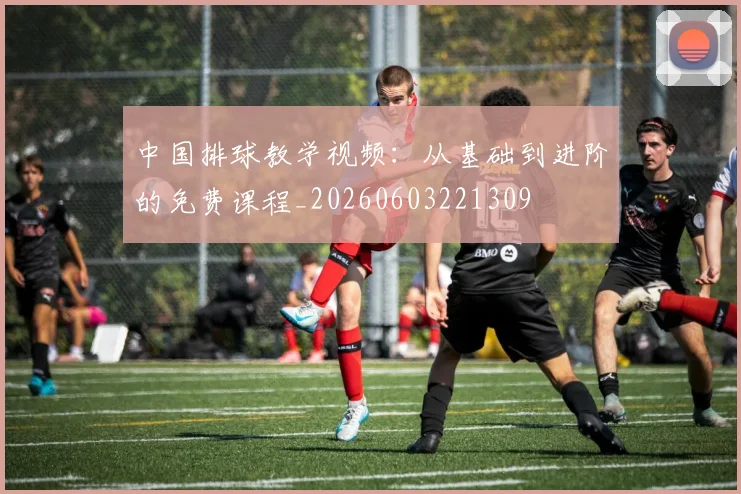 中国排球教学视频:从基础到进阶的免费课程_20260603221309
