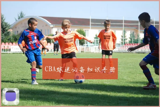 CBA球迷必备知识手册